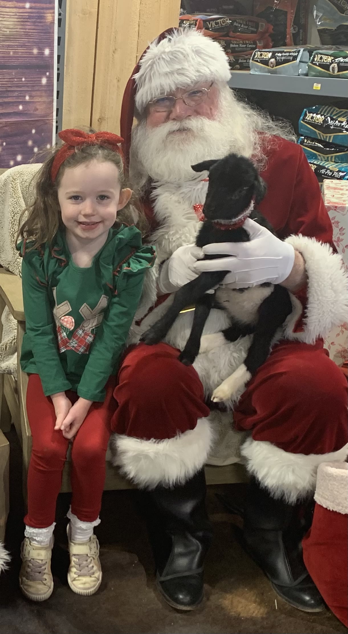 A girl beside Santa, who is holding a lamb