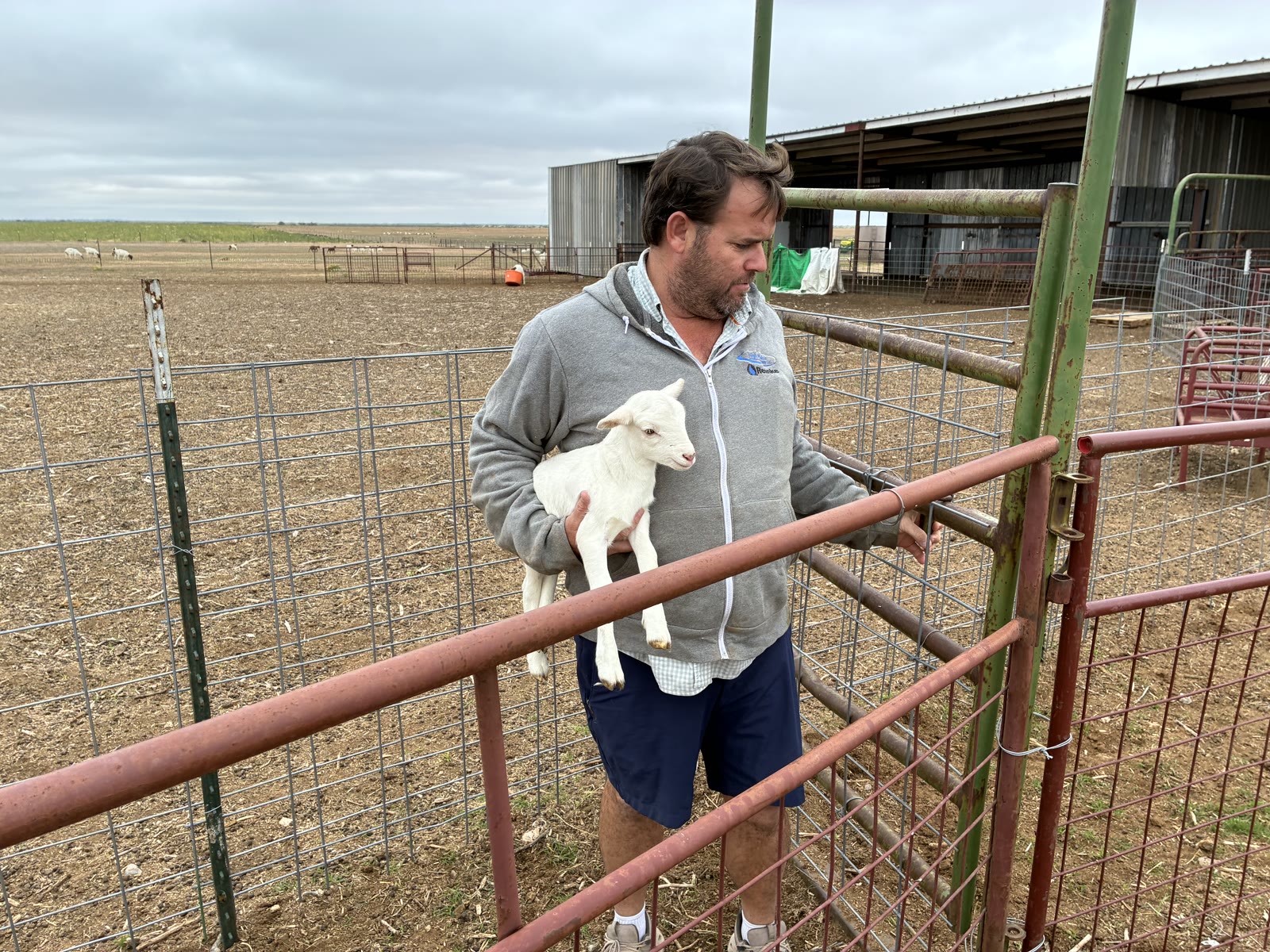 A man holding a white lamb by a gate