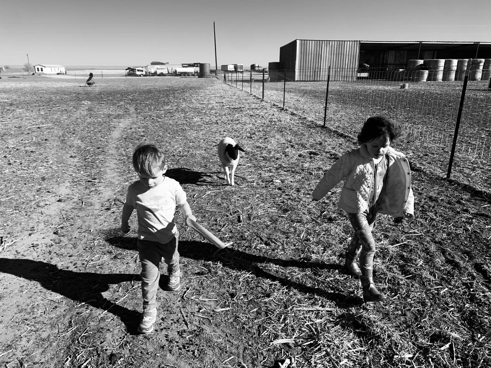 Two children and a lamb in a pen