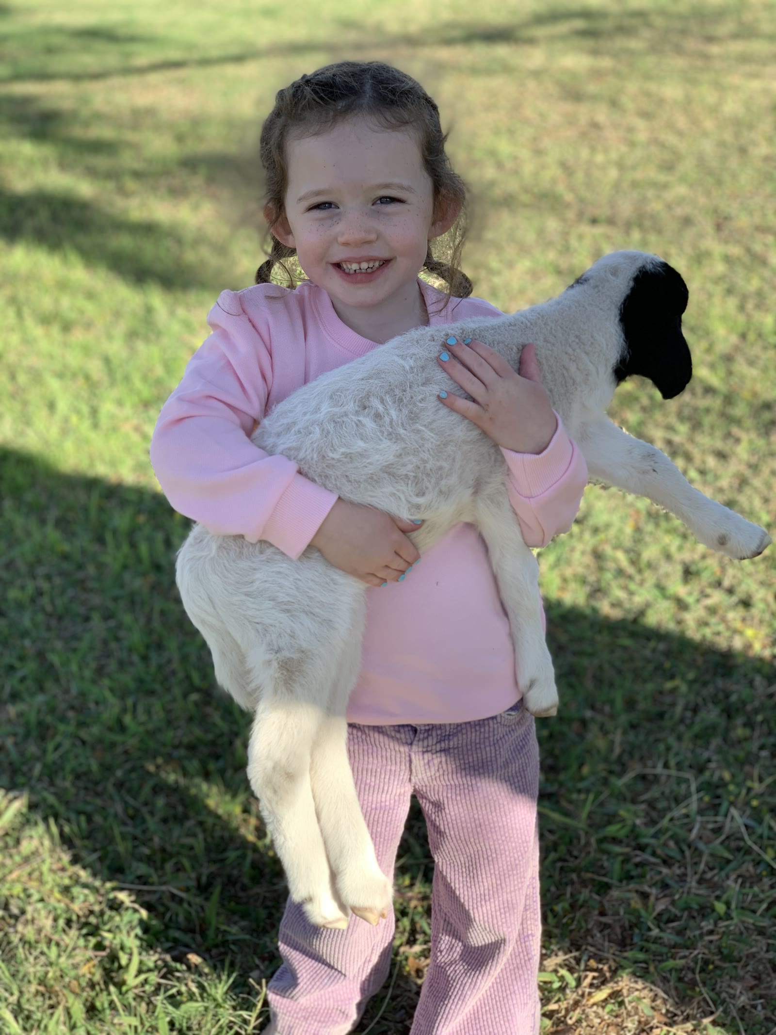 A girl holding a lamb